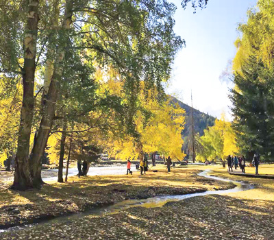 <p>20190929 北疆10+1天<br />
樺巾木屐沿流步,布裘藜杖繞山回。 自覺浮生幻化事,逍遙快樂實善哉。 ～寒山</p>
